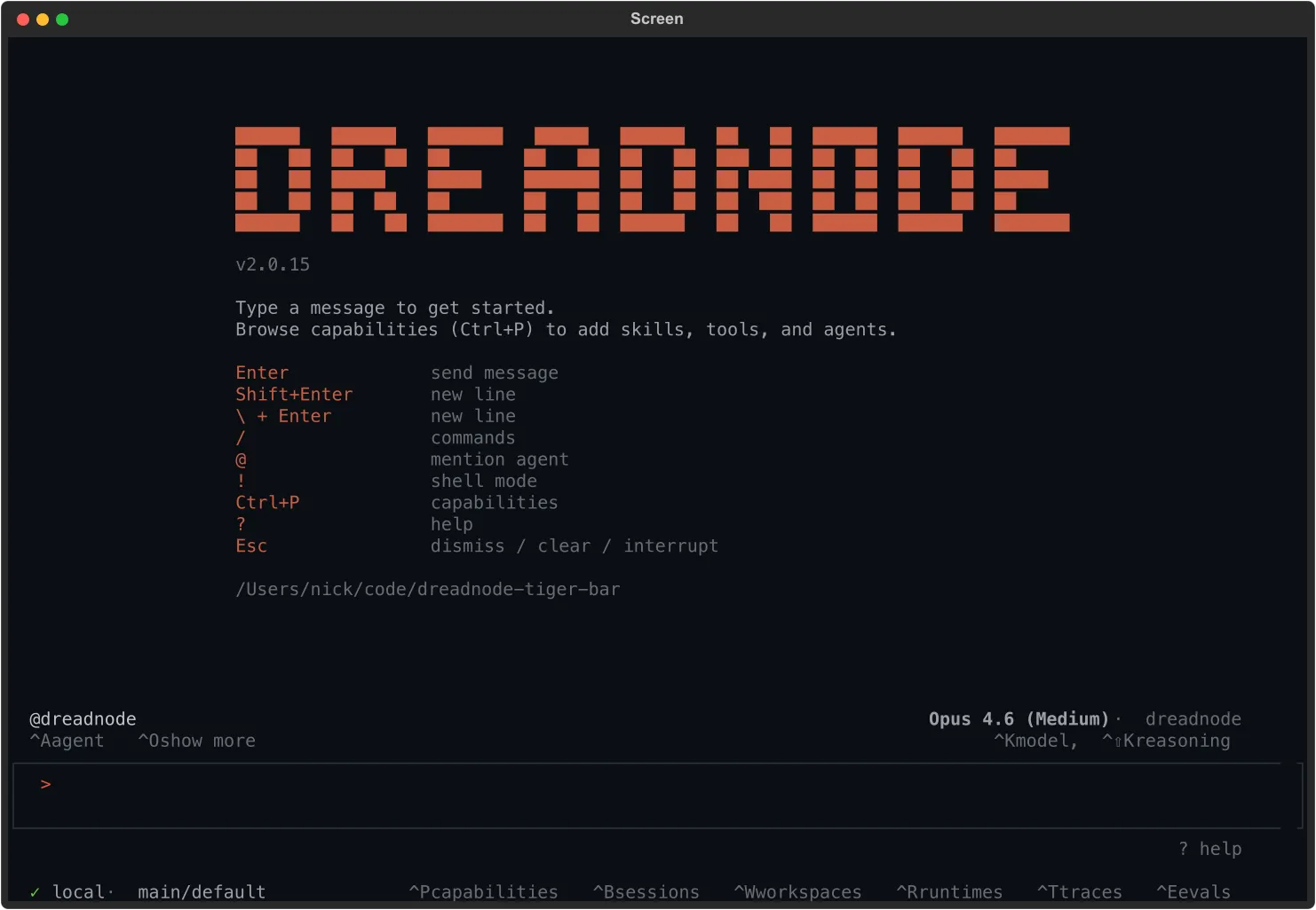 Dreadnode TUI welcome screen with logo, version, and key bindings